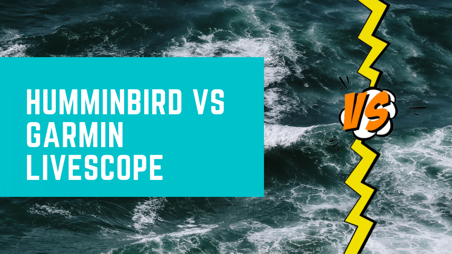 Humminbird vs Garmin Livescope Fish Finder Expert